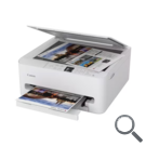 Ampliar imagen Imagen